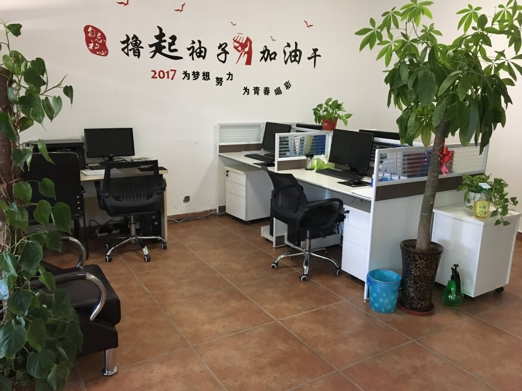 河南鑫鼎工程咨詢 財務咨詢的專業(yè)之選